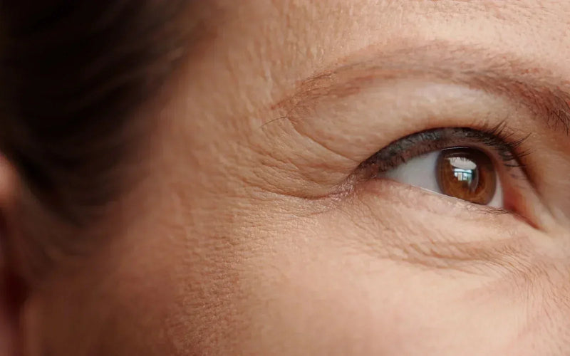 Beyond Retinol: Visible Wrinkle Reduction Without the Side Effects
