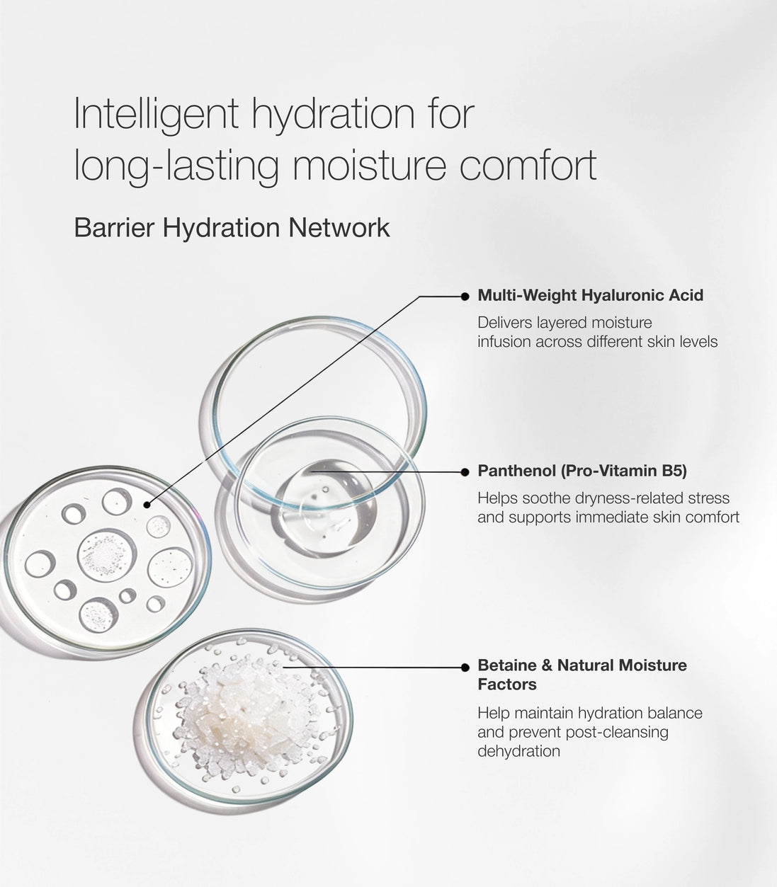 Everyday Moisturising Cream