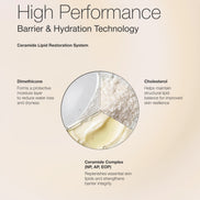 Wrinkle Reduction Day Cream