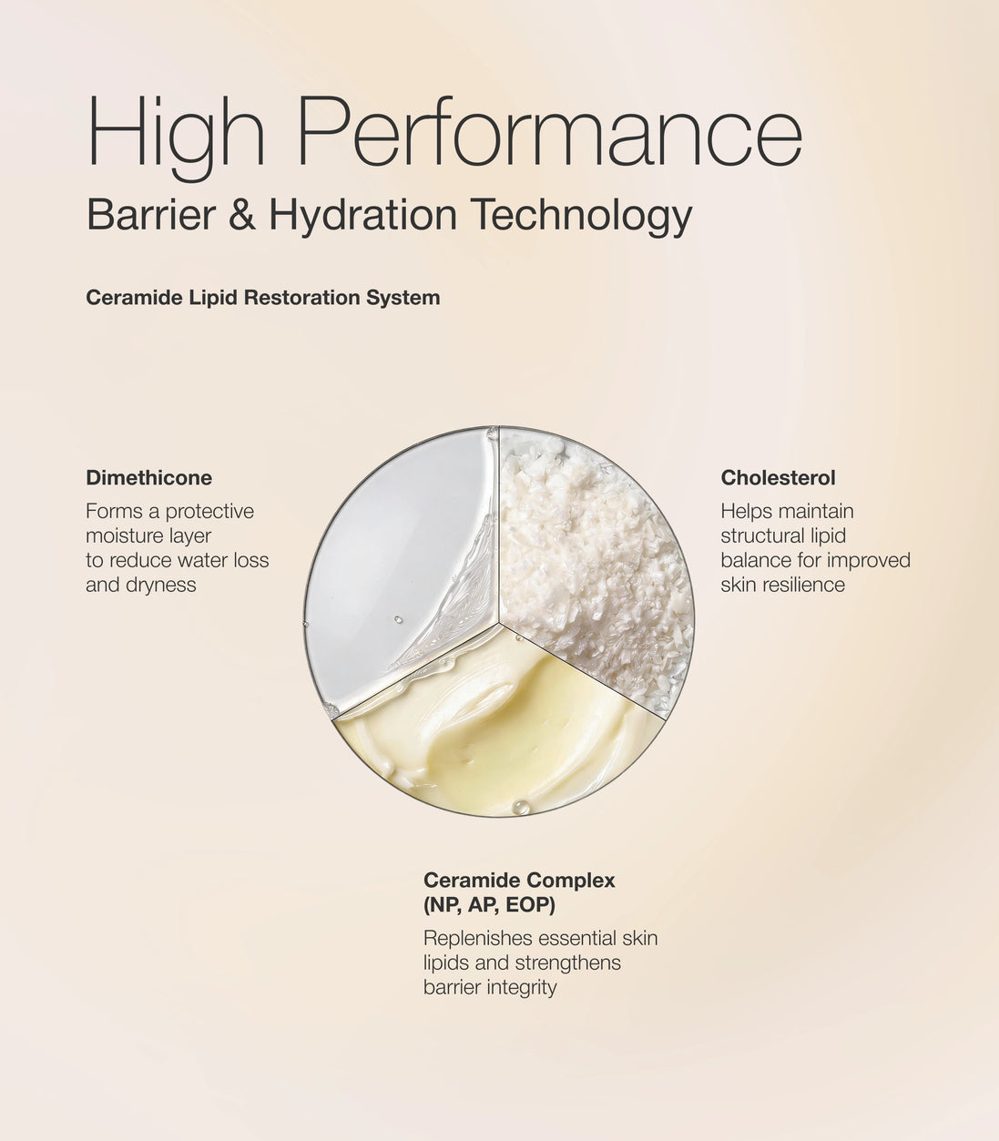 Wrinkle Reduction Day Cream